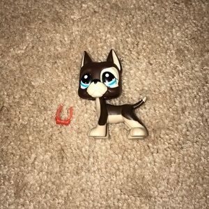 Littlest pet shop great Dane